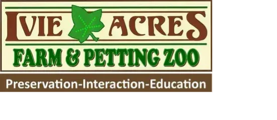 Adult admission ticket